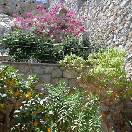 Holiday home Amorosa *